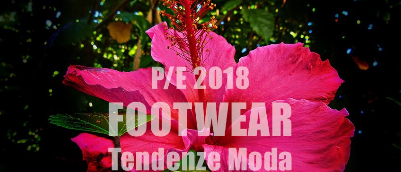 Le scarpe della primavera estate 2018: tendenze moda