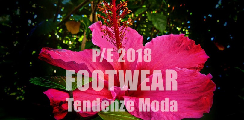 Le scarpe della primavera estate 2018: tendenze moda