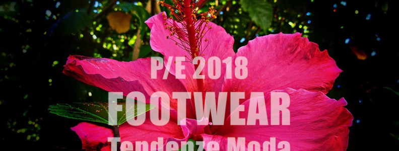 Le scarpe della primavera estate 2018: tendenze moda